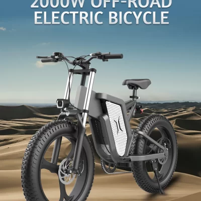 X20 Electric Bike 20 Inch 2000W 48V 35AH