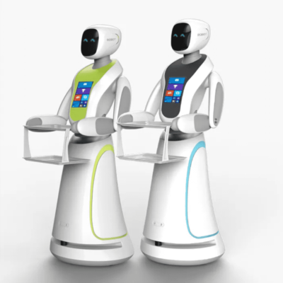 Smart Delivery Humanoid Robot