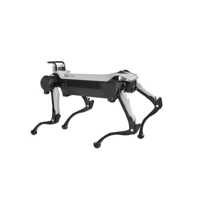 Smart robot dog