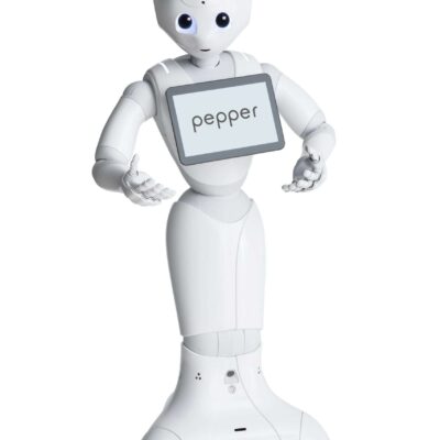 Multifunctional Smart Robot SoftBank Robotics